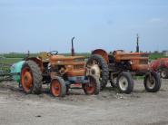 Traktoren in Süd-Italien